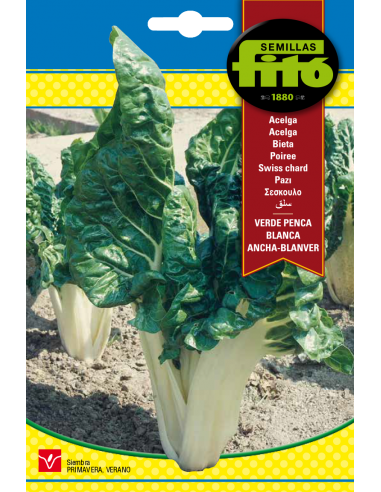 Acelga Verde Penca Blanca Ancha -...