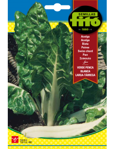 Acelga Verde Penca Blanca...