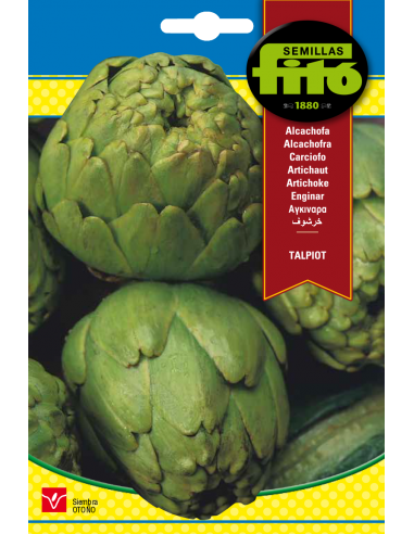 Alcachofa Talpiot (2 g)