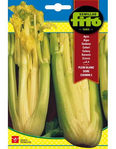 Apio Plein Blanc Doré Chemin 3 (3 g)