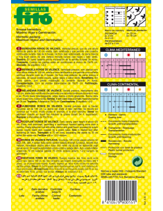 Berenjena Ronde de Valence... 2