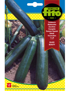 Calabacín Black Beauty (10 g)
