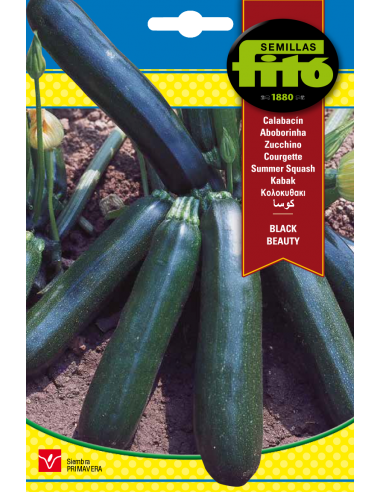 Calabacín Black Beauty (10 g)