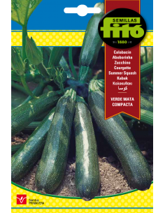 Calabacín Verde Mata...