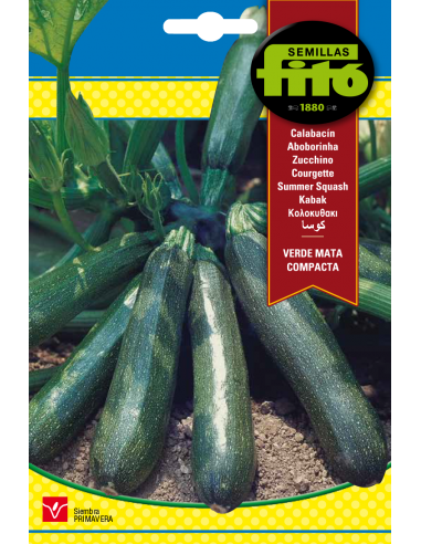 Calabacín Verde Mata Compacta (10 g)