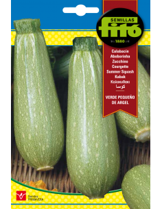 Calabacín Verde Pequeño de...