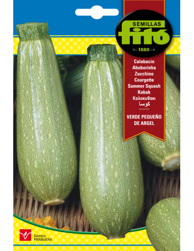 Calabacín Verde Pequeño de Argel (10 g)