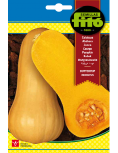 Calabaza Butternut (10 g)