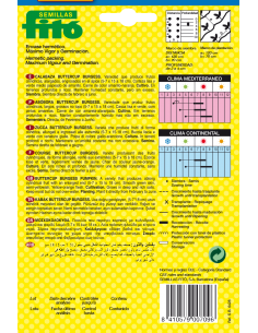 Calabaza Butternut (10 g) 2