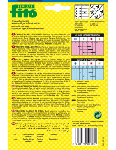 Calabaza Cabello de Ángel... 2