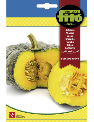 Calabaza Dulce de Horno (6 g)