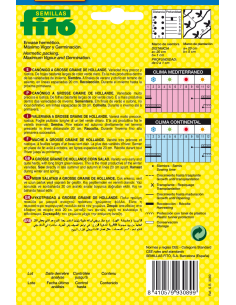 Canónigos À Grosse Graine... 2