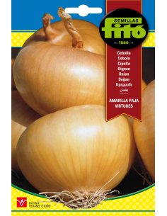 Cebolla Amarilla Paja...