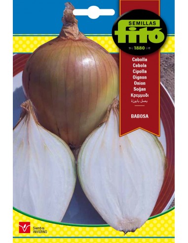 Cebolla Babosa (7 g)