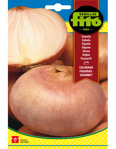 Cebolla Colorada Figueras - Gourmet...