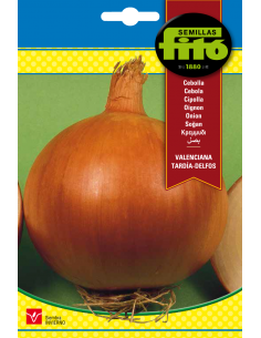 Cebolla Valenciana Tardía -...