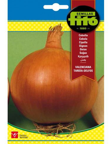 Cebolla Valenciana Tardía - Delfos (7 g)