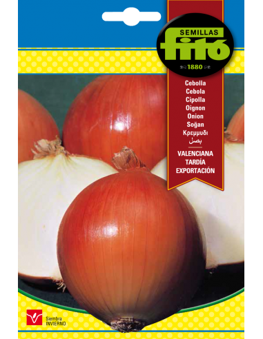 Cebolla Valenciana Tardía de...