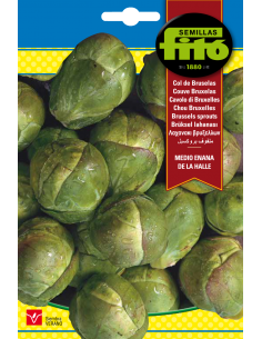 Brussels Sprouts Medio...