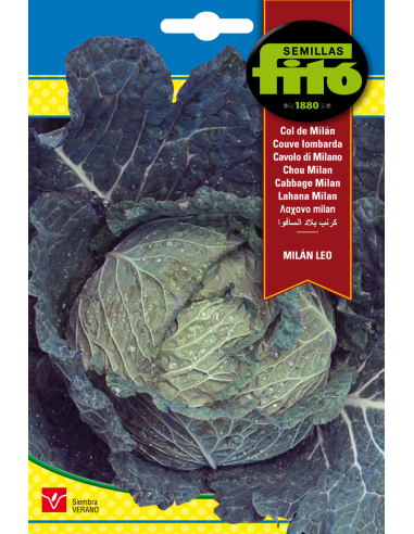 Cabbage Milán Leo (8 g)