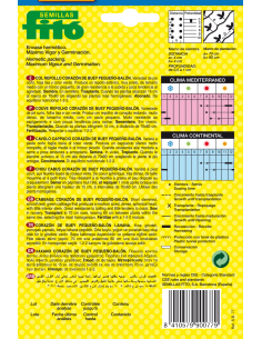 Cabbage Corazón de Buey... 2