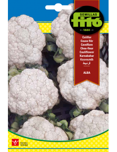 Coliflor Alba (4 g)