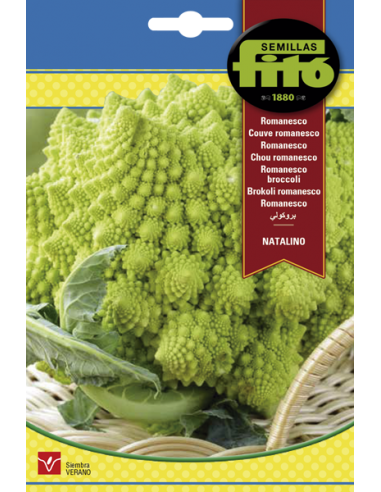 Coliflor Romanesco Natalino (4 g)