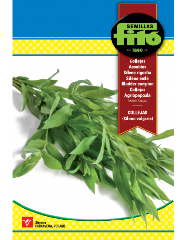 Collejas (Silene vulgaris) (10 g)