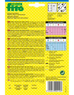 Endibia Mechelsen... 2