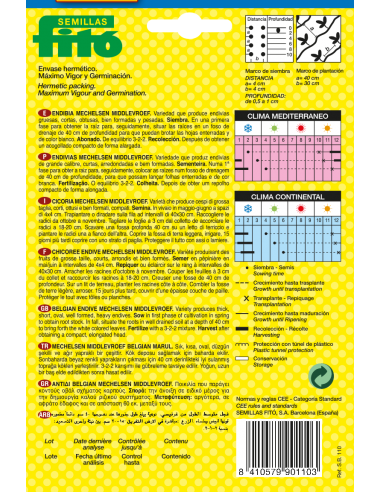 Endibia Mechelsen Middlevroef (8 g)