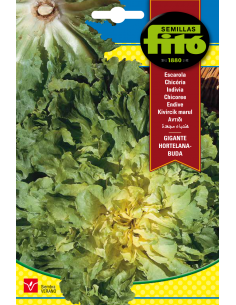 Escarola Gigante Hortelana...