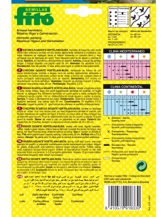 Escarola Gigante Hortelana... 2