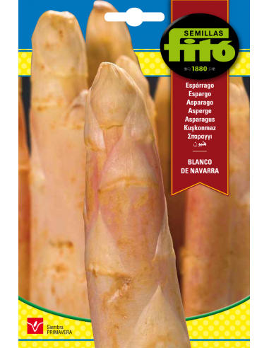 Asparagus Blanco de Navarra (8 g)