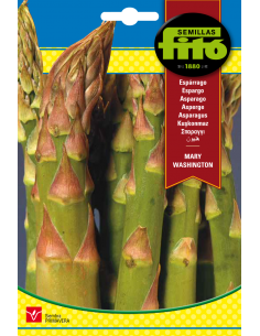 Espárrago Mary Washington...