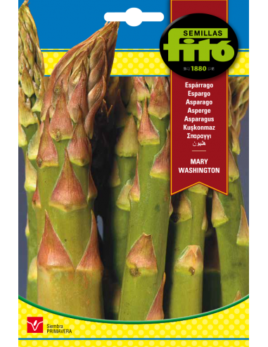 Espárrago Mary Washington (8 g)