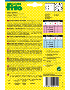 Espárrago Mary Washington... 2