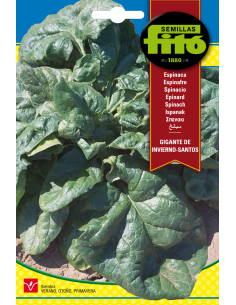 Espinaca Gigante de...