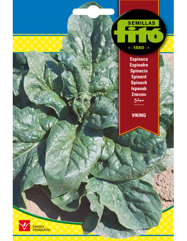 Espinaca Viking (20 g)