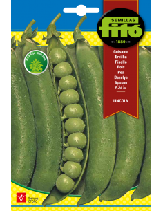 Guisante Lincoln (55 g)