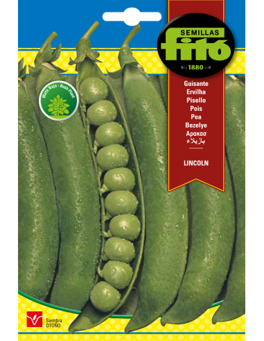 Guisante Lincoln (55 g)