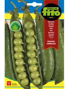 Guisante Senador - Cambados...