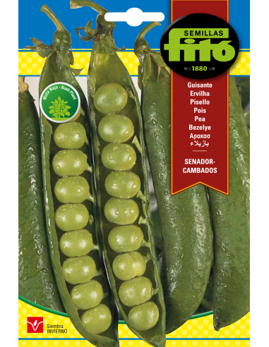Guisante Senador - Cambados (55 g)