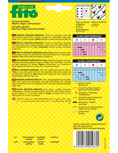 Guisante Senador - Cambados (55 g)