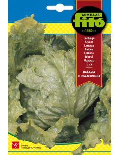 Lechuga Batavia Rubia -...