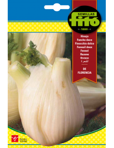 Hinojo de Florencia (10 g)