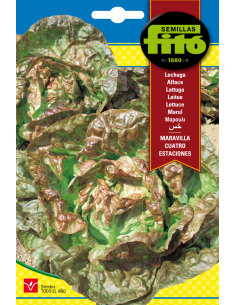 Lechuga Maravilla Cuatro...