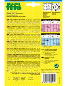 Lechuga Reina de Mayo -... 2