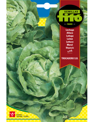 Lechuga Trocadero S.B. - Ribera (NO...