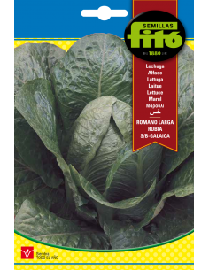 Lechuga Romana Larga Rubia...