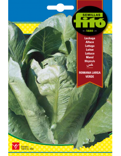 Lechuga Romana Larga Verde...